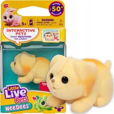 Zdjęcie Little Live Pets Needees Interaktywne Zwierzątko Chomiczek Chippee 26653 - Marki