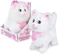 Zdjęcie Artyk Kotek Chodzący Na Smyczy Natalia Biały - Ryglice