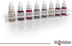Zdjęcie Bioevolution Podstawka Pod Barwniki (8 Szt.X10 Ml) - Sobótka