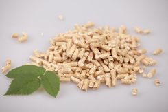 Zdjęcie Animax Pellet/Żwirek Drewniany 15Kg - Pruszków