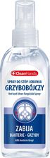Zdjęcie Swit CLEAN HANDS Spray do stóp i obuwia grzybobójczy 100ml - Przemków
