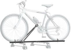 Zdjęcie Peruzzo Lucky-Two Stalowy - Poddębice