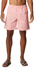 Zdjęcie Kąpielówki Backcast III Water Short - Dobra