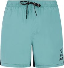 Zdjęcie Szorty plażowe męskie PROTEST PRTBen - Dobre Miasto