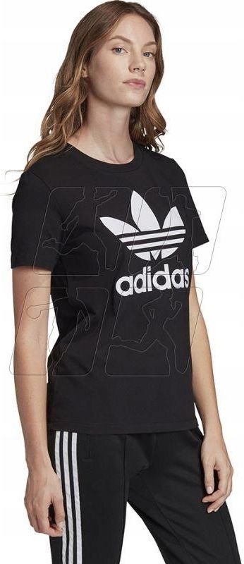 Koszulka adidas Trefoil Tee W FM3311 32 - Ceny i opinie - Ceneo.pl
