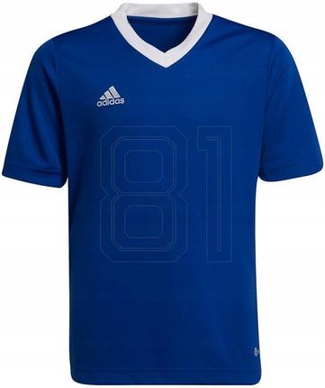 Koszulka adidas Entrada 22 Jsy Jr HG3948 152cm