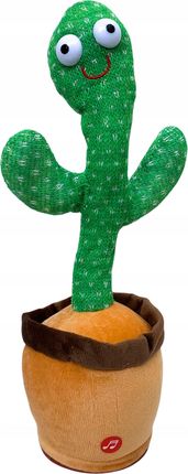 kentia palme luftfeuchtigkeit Kentia Palme - KENTIA - P21 H110 - 5PP