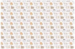 Zdjęcie Szkolna Podkładka Ochronna Na Biurko Podkład 58X38 Kittens Kotki Wzór - Kraków