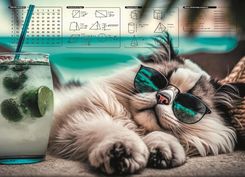 Zdjęcie Panta Plast Podkładka Na Biurko Dla Ucznia Podkład Biurkowy Z Nadrukiem Chillout Cat - Mieroszów