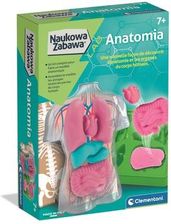 Zdjęcie Clementoni Naukowa Zabawa Anatomia - Narol