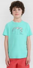 Zdjęcie Koszulka bawełniana dziecięca Tshirt 4F chłopięcy R.146 (10-11 lat) - Jarosław