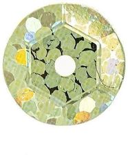 Zdjęcie Brewis Cekiny Hologramowe H 40 Złoty - Chrzanów