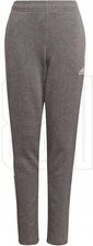 Zdjęcie Spodnie adidas Tiro 21 Sweat Jr GP8809 152cm - Biskupiec