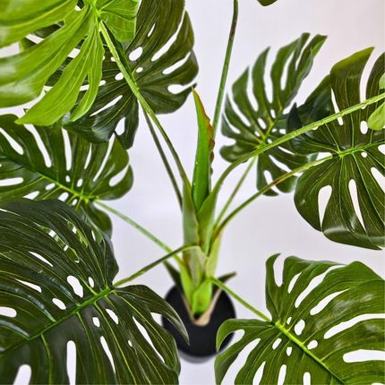 Sztuczne kwiaty Monstera sztuczna rolina wys. 110 cm w doniczce do salonu  (6370) - Opinie i atrakcyjne ceny na Ceneo.pl