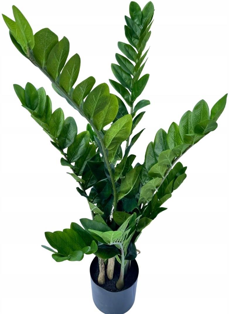 drainage zimmerpflanzen Professional drainage cushion for camellias in pots main image 0