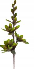 Zdjęcie Eurofirany Kwiat Flore 736 95 CM Zielony (432143) - Jawor
