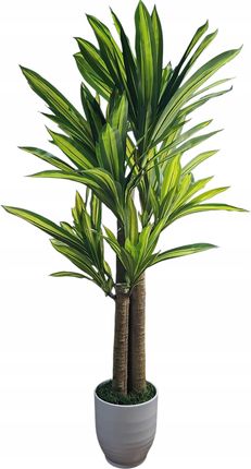 Kwiat sztuczny duy dracena 170 x 110 cm (VIP6599) - Opinie i atrakcyjne  ceny na Ceneo.pl