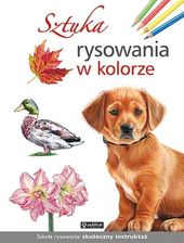 Zdjęcie Sztuka rysowania w kolorze - Radymno
