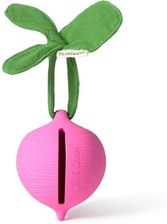 Zdjęcie Oli & Carol Etui na Smoczek Rzodkiewka Ramona - Sępopol