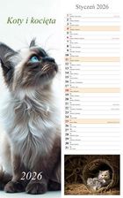 Zdjęcie Kalendarz 2026 paskowy Koty - Gryfice
