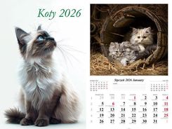 Zdjęcie Kalendarz 2026 ścienny 13-k Koty - Jastarnia