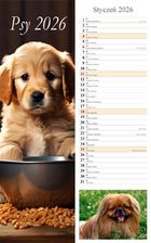 Zdjęcie Kalendarz 2026 paskowy Psy - Sandomierz