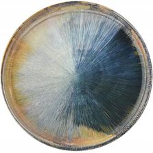 Zdjęcie Ambition 61389 Talerz Deserowy Madera 20cm - Toruń