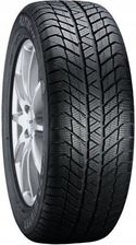 Platin Winter RP-70 205/60R16 96H XL