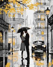 Zdjęcie Ideyka Malowania Po Numerach Pocałunek W Deszczu 40X50 - Niepołomice