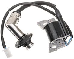 Zdjęcie Cedrus Parts Moduł Zapłonowy B&S Powersmart P2000 Część Oryginalna 317436Gs - Poznań