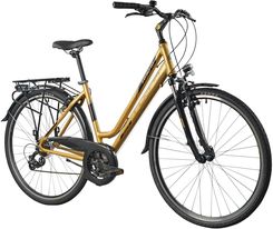 Zdjęcie Indiana X-Road 1.0 Jasnobrązowy 28 2024 - Łaszczów