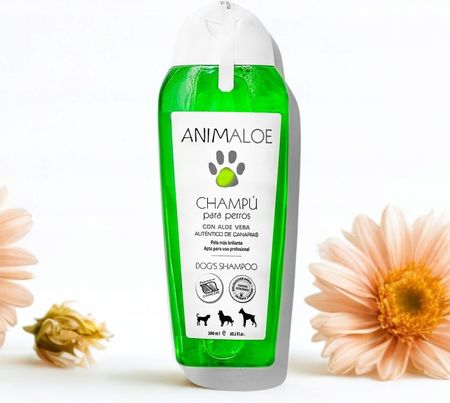 Szampon Dla Psa Z Aloesem Aloe Vera Lanzaloe 300Ml - Ceny i opinie -  Ceneo.pl