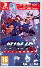 Zdjęcie Ninja Gaiden Ragebound (Gra NS) - Błonie