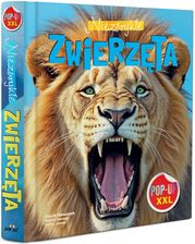 Zdjęcie Niezwykłe zwierzęta pop-up - Stepnica