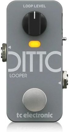 TC Electronic Ditto Looper X2 - Ceny i opinie - Ceneo.pl