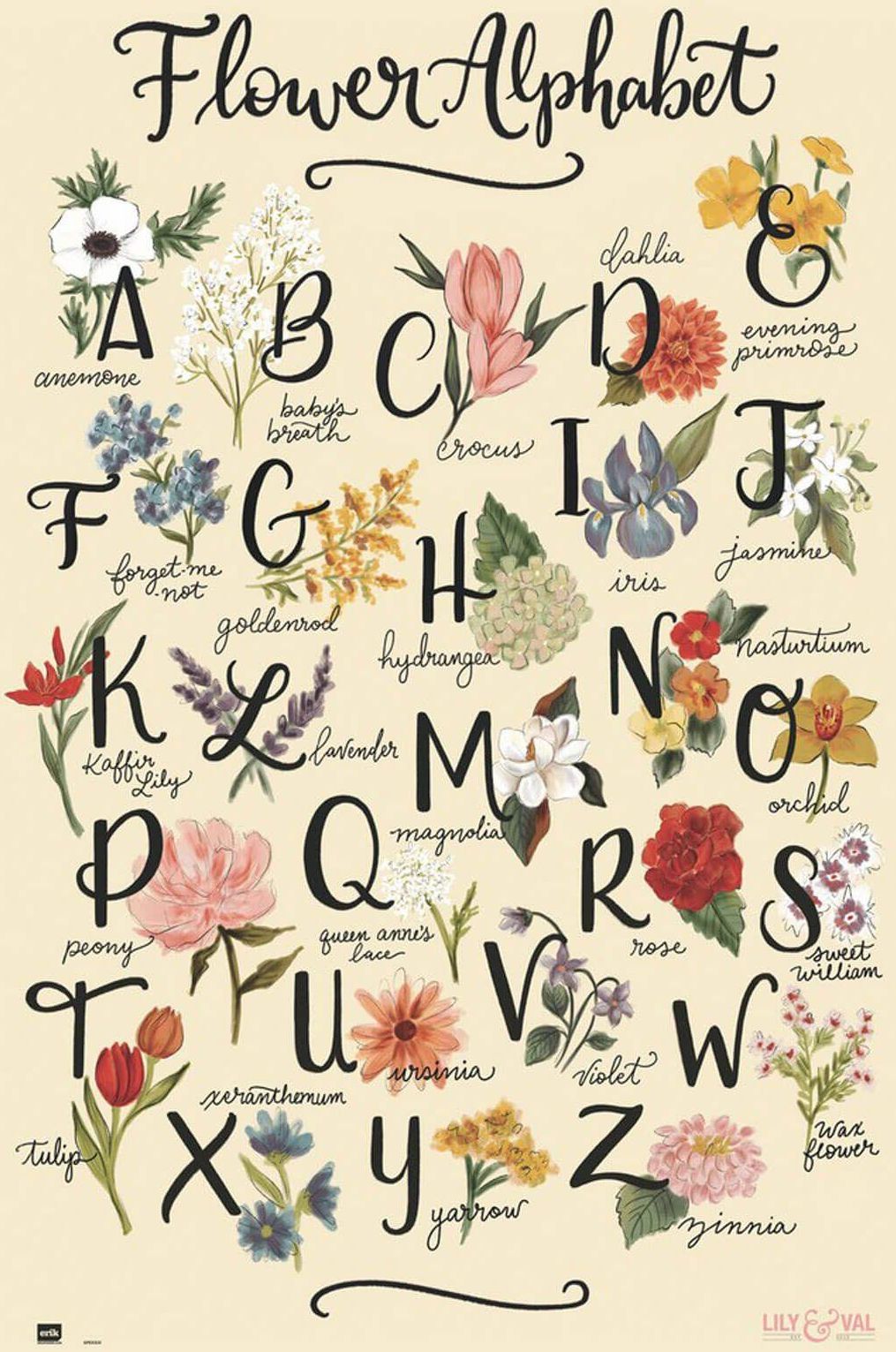 Promo Abc Kwiatów Lily And Val Plakat 61X91,5Cm (GPE5323) - Opinie i ...