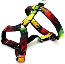 Zdjęcie Kendog Reggae Szelki Guard S 2Cm 35-50Cm - Bielsko-Biała