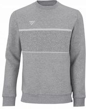 Zdjęcie Tecnifibre Team Sweater Bluza Tenisowa Szara - Kobyłka