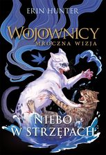Zdjęcie Wojownicy. Niebo w strzępach - Bielawa