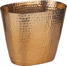 Zdjęcie Aps Chłodziarka Do Wina/Szampana Na 1 Butelkę - Ujazd