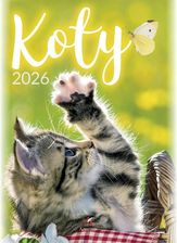 Zdjęcie Kalendarz 2026 wieloplanszowy B4 Koty - Artsezon - Konin