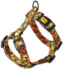 Zdjęcie Dingo Szelki Guard City Dubaj M 3 38-70Cm - Maków Podhalański