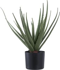 Zdjęcie Intesi Sztuczna Roślina Aloes 51Cm - Kęty