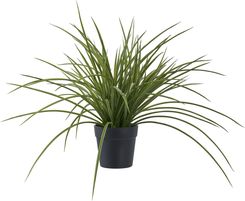 Zdjęcie Intesi Sztuczna Trawa W Czarnej Donicy 45Cm - Kobyłka