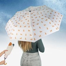 Zdjęcie Parasolka Kot z Pokrowcem - Piekary Śląskie