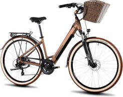 Zdjęcie Proeco Wave An 1.0 504Wh Brązowy 28 - Mrągowo