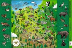 Zdjęcie Demart Mappuzzle Junior Zwierzęta Polski Podkładka - Dębica