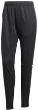 Zdjęcie adidas Kobiety SQUADRA25 TRAINING PANT, black/white, XXL - Chocianów