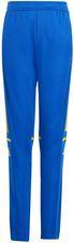 Zdjęcie adidas Spodnie Squadra 25 Training Jr Jp3154 - Żory