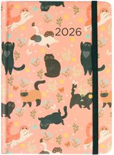 Zdjęcie Kalendarz 2026 B6 dzienny, koty - Mikołów